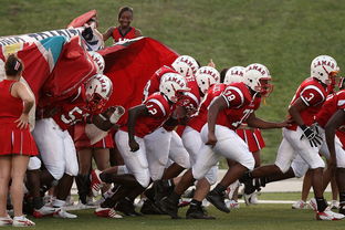 乐鱼体育app官方入口-世界青少年自行车环城赛在杭州激烈角逐,环城自行车比赛