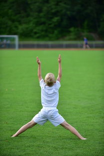 乐鱼体育在线登陆-高校运动康复训练技术研究,运动康复技术学陈建