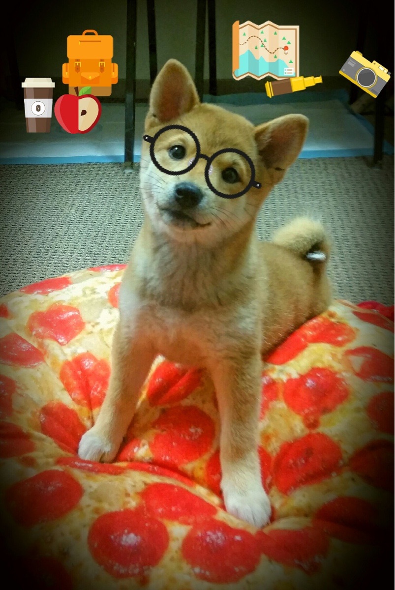 乐鱼体育官网-KPL主教练战术安排缜密展现超强临场判断，kpl教练dgc