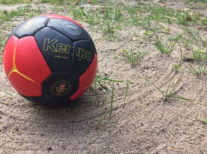 乐鱼体育在线-“沙滩赛场燃爆天府新区，沙滩手球和合球上演极限对决”