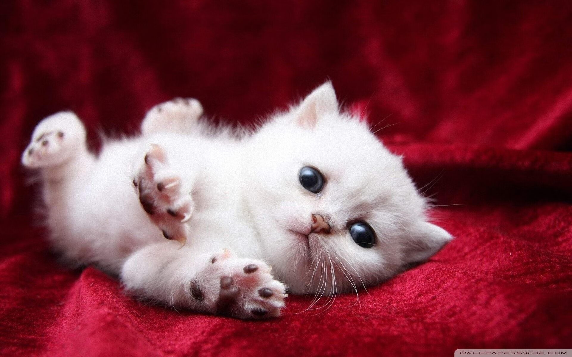 乐鱼体育app入口-三人配合最默契的首发组合，三个人配合默契的成语