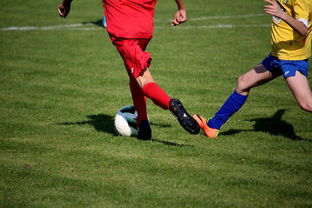 乐鱼体育网页登录-国家队与俱乐部之间协调机制为何不顺畅，国家队比赛和俱乐部比赛冲突