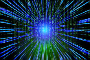 乐鱼体育网址-新加坡队未来之路：如何在全球乒乓赛事中争夺更多荣誉，新加坡乒乓球厉害吗