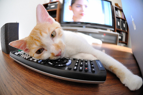 乐鱼体育登录-澳大利亚队:国际乒联混合团体世界杯表现超出预期,澳大利亚乒乓球名将