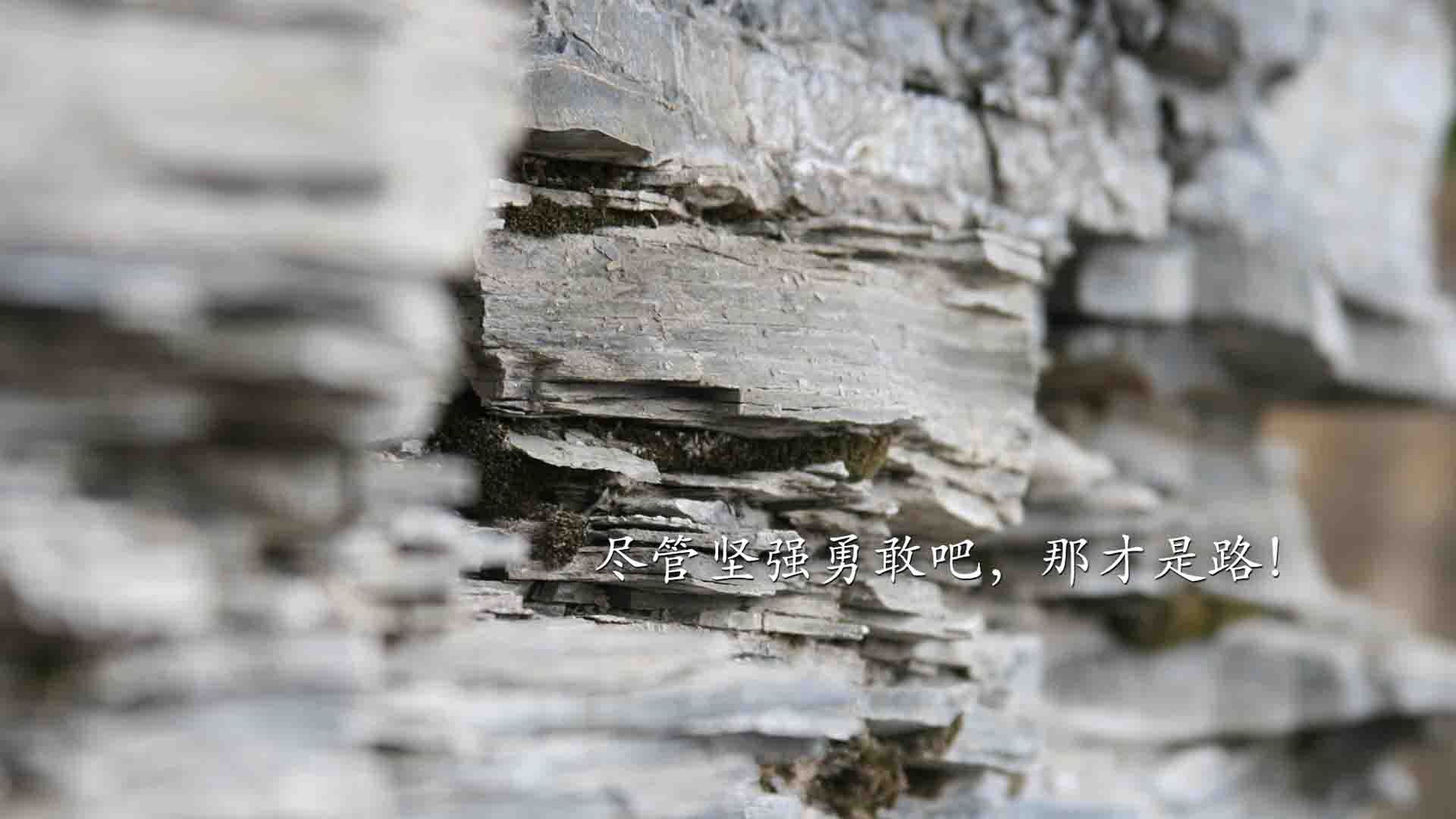 乐鱼体育官网登录-西班牙男队接力组合默契提升,西班牙 队员