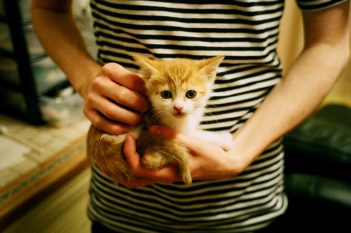 乐鱼体育登陆-阿尔及利亚男篮在非洲 U23 3×3 首日战胜埃及与中非共和国，阿尔及利亚男子足球队