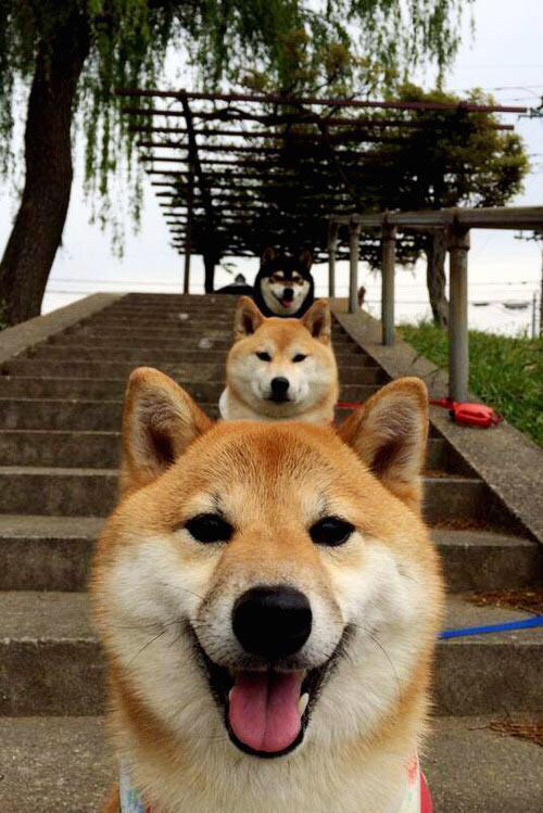 乐鱼体育平台登录-CBA联赛直播技术革新带来更好观赛体验，cba2021至2022年直播平台