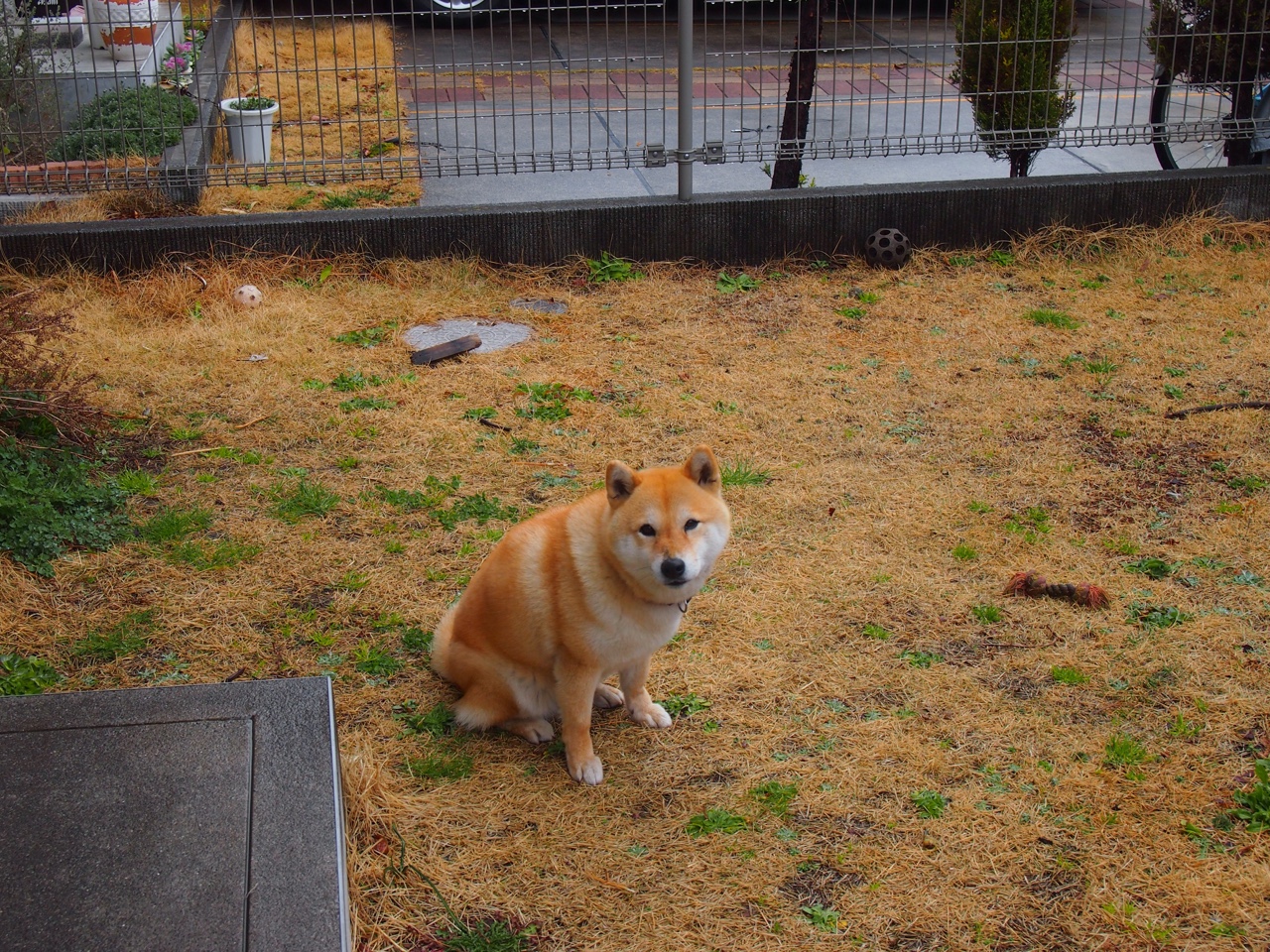 乐鱼体育在线登录-万乐天决赛发挥稳定赢得认可，wanle万乐