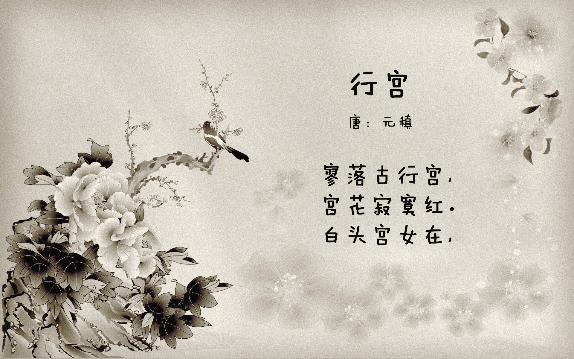 乐鱼体育app官网-克莱尔·柯尔赞赛后感谢团队支持，克莱尔资料