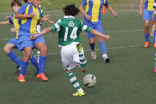 乐鱼体育地址-国际足球协会推动足球全民普及，青少年参与度飙升，各国青少年足球注册人口