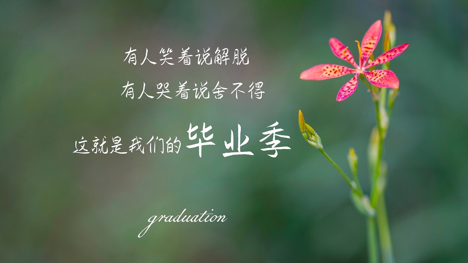 乐鱼体育网址入口-政府助力橄榄球场馆设施建设,橄榄球场地面积