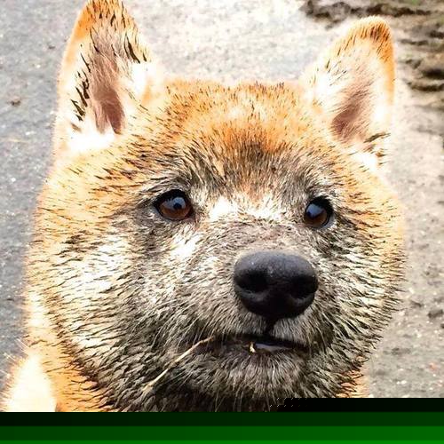 乐鱼体育网址-欧洲杯场场精彩：智慧与力量的极限较量！，欧洲杯d