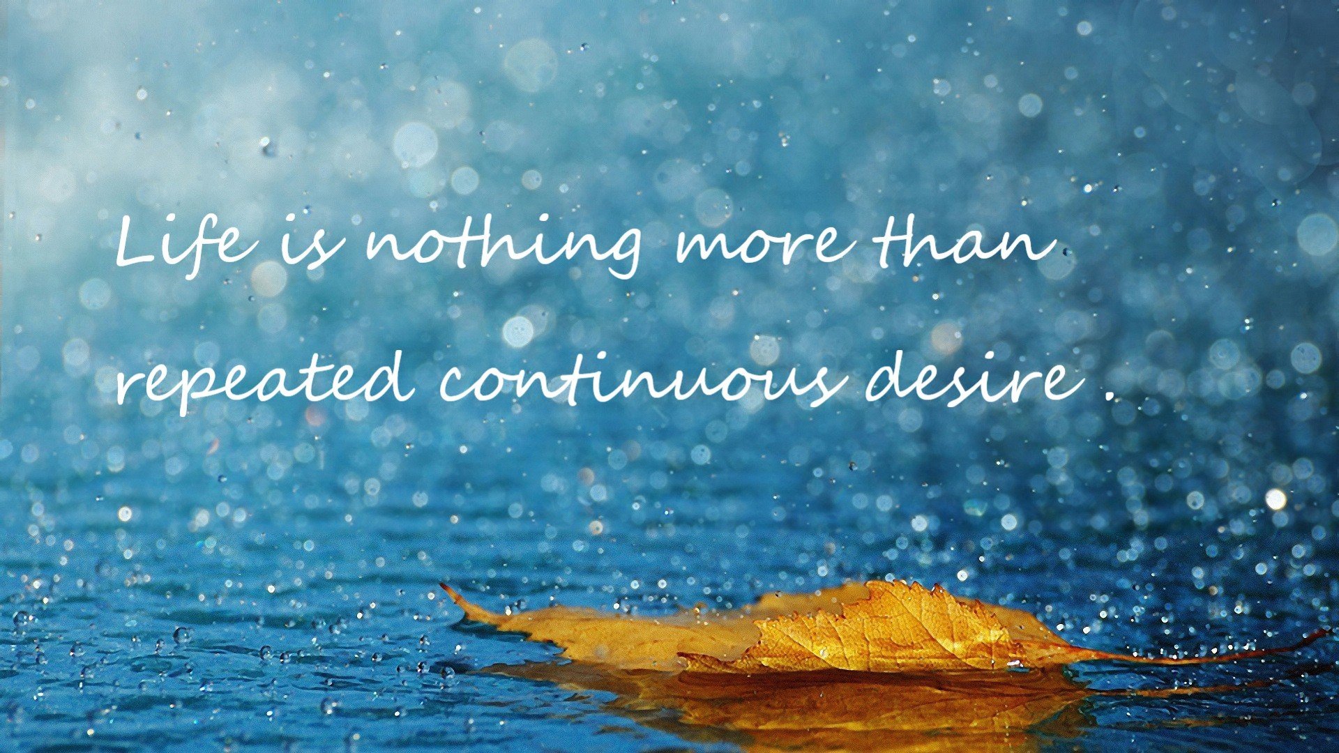 乐鱼体育网址-欧洲杯场场精彩:智慧与力量的极限较量!,欧洲杯d