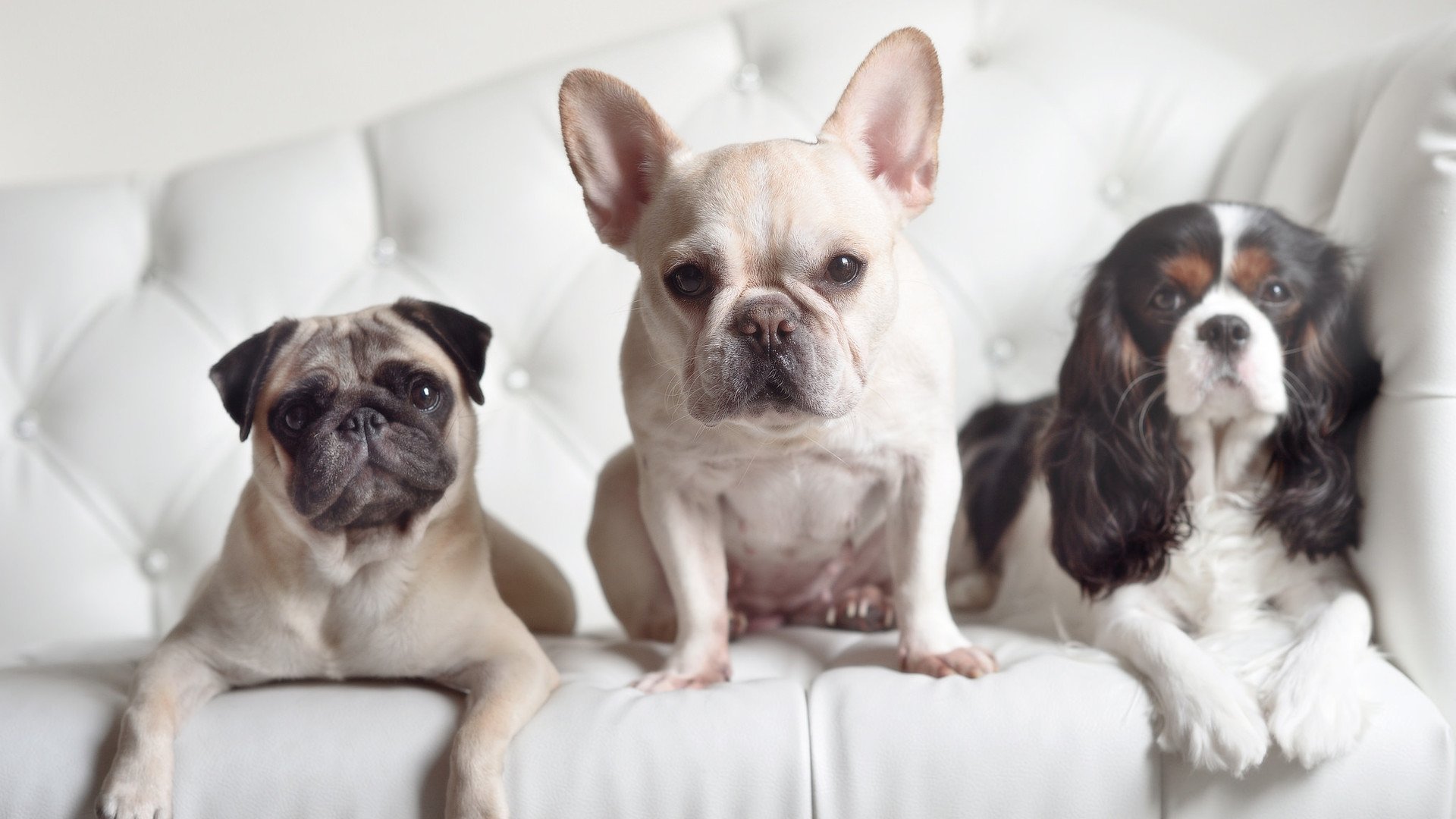 乐鱼体育官网优惠-热火社区义工项目鼓励球员主动参与