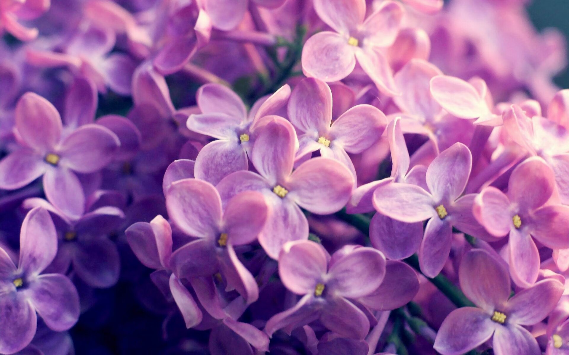 乐鱼体育官网登录-西甲热血瞬间：超神扑救惊艳全场，西甲扑救成功率